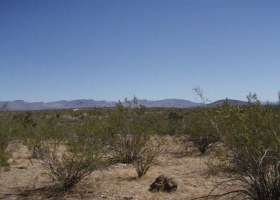 Deming, New Mexico 88030, ,Land,Sold,1192
