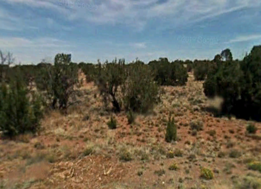Concho, Arizona 85924, ,Land,Sold,1195