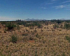 Pearce, Arizona 85625, ,Land,Sold,1197
