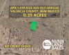 Los Lunas87031, New Mexico, ,Land,Sold,1200