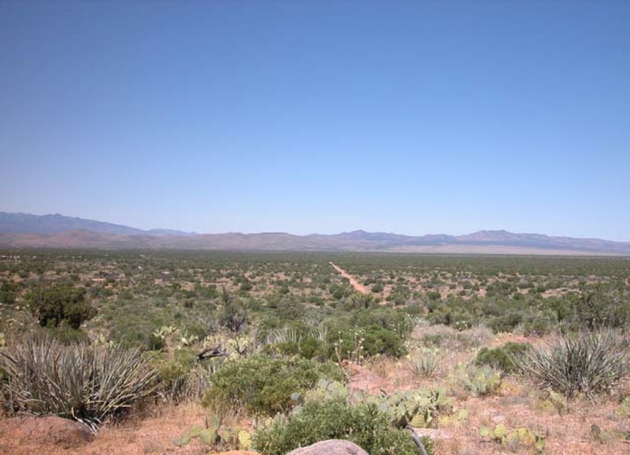 Kingman, Arizona 86401, ,Land,Sold,1020