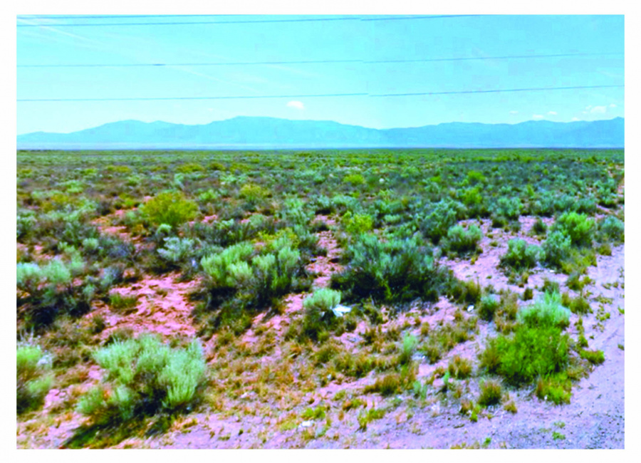 Los Lunas, New Mexico 87031, ,Land,Sold,1205