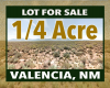 Belen, New Mexico 87002, ,Land,Sold,1206