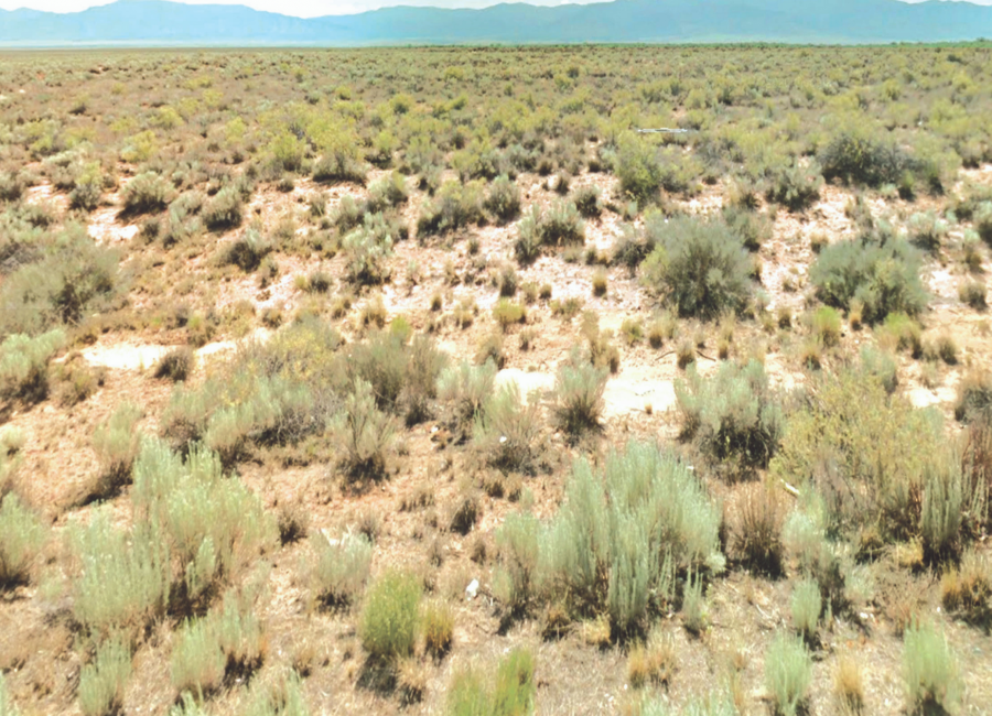 Belen, New Mexico 87002, ,Land,Sold,1206