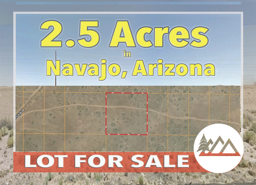 Holbrook, Arizona 86025, ,Land,Sold,1216