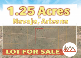 Holbrook, Arizona 86025, ,Land,Sold,1219