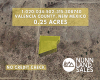 Los Lunas, New Mexico 87031, ,Land,Sold,1223