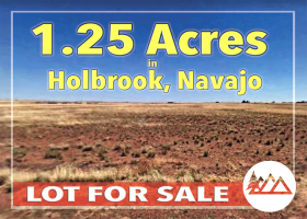 Holbrook, Arizona 86025, ,Land,Sold,1231