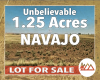 Holbrook, Arizona 86025, ,Land,Sold,1233