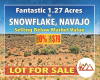Snowflake, Arizona 85937, ,Land,Sold,1241