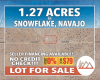 Snowflake, Arizona 85937, ,Land,Sold,1242