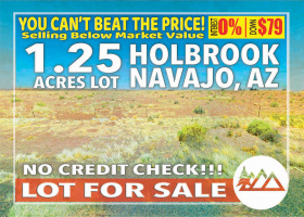 Holbrook, Arizona 86025, ,Land,Sold,1243