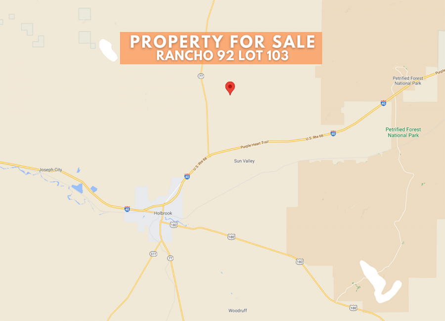 Holbrook, Arizona 86025, ,Land,Sold,1254