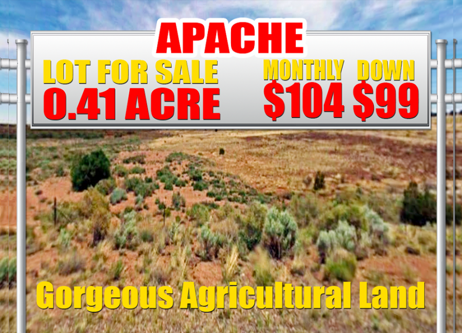 Concho, Arizona 85924, ,Land,Sold,1255
