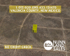 Belen, New Mexico 87002, ,Land,Sold,1271