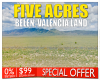 Belen, New Mexico 87002, ,Land,Sold,1276