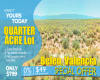 Belen, New Mexico 87002, ,Land,Sold,1278