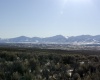 Spring Creek, Nevada 89815, ,Land,Sold,1029