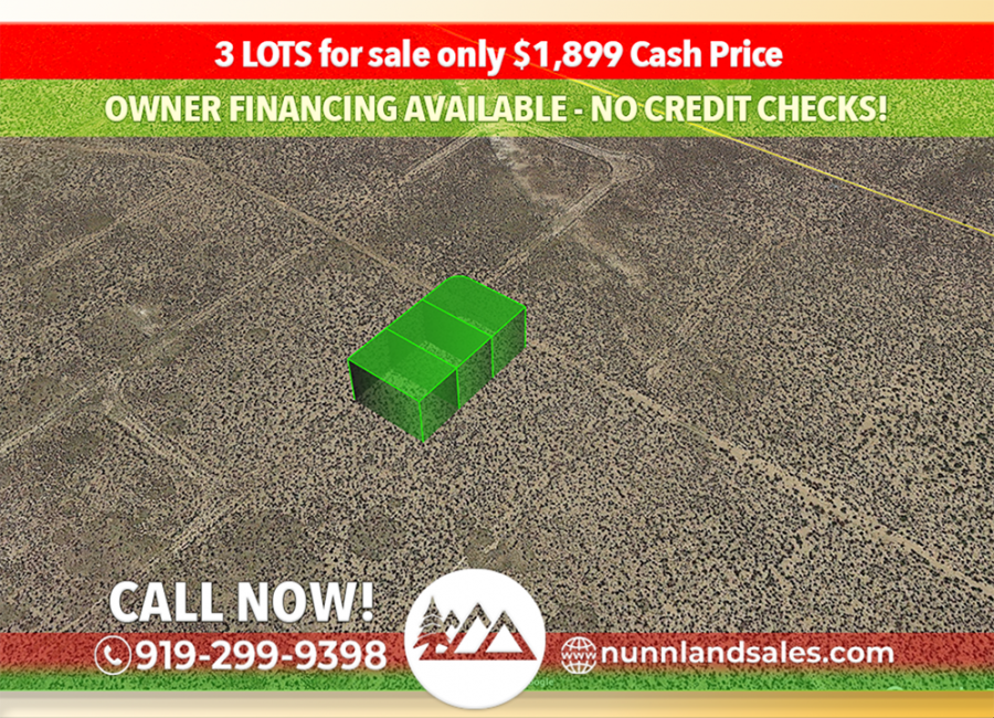 Los Lunas, New Mexico 87031, ,Land,Sold,1293