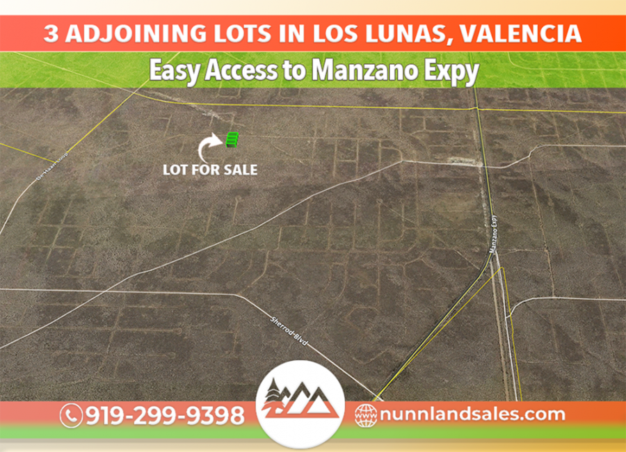 Los Lunas, New Mexico 87031, ,Land,Sold,1293