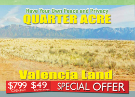 Los Lunas, New Mexico 87031, ,Land,Sold,1316