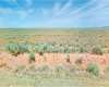 Los Lunas, New Mexico 87031, ,Land,Sold,1319