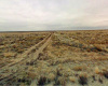 Los Lunas, New Mexico 87031, ,Land,Sold,1334