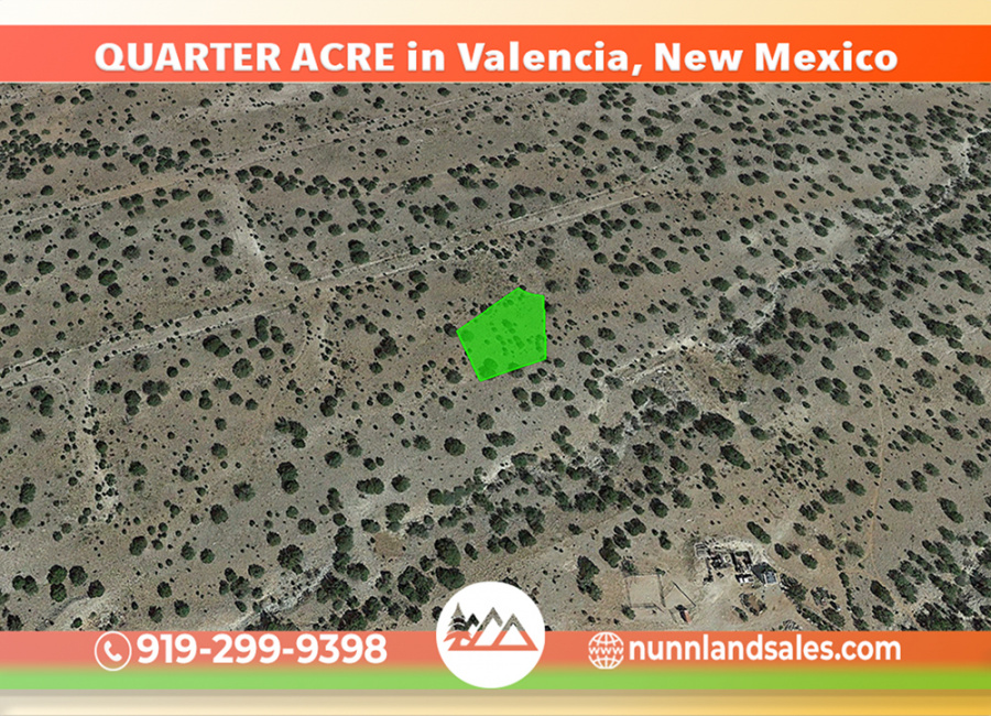 Los Lunas, New Mexico 87031, ,Land,Sold,1346