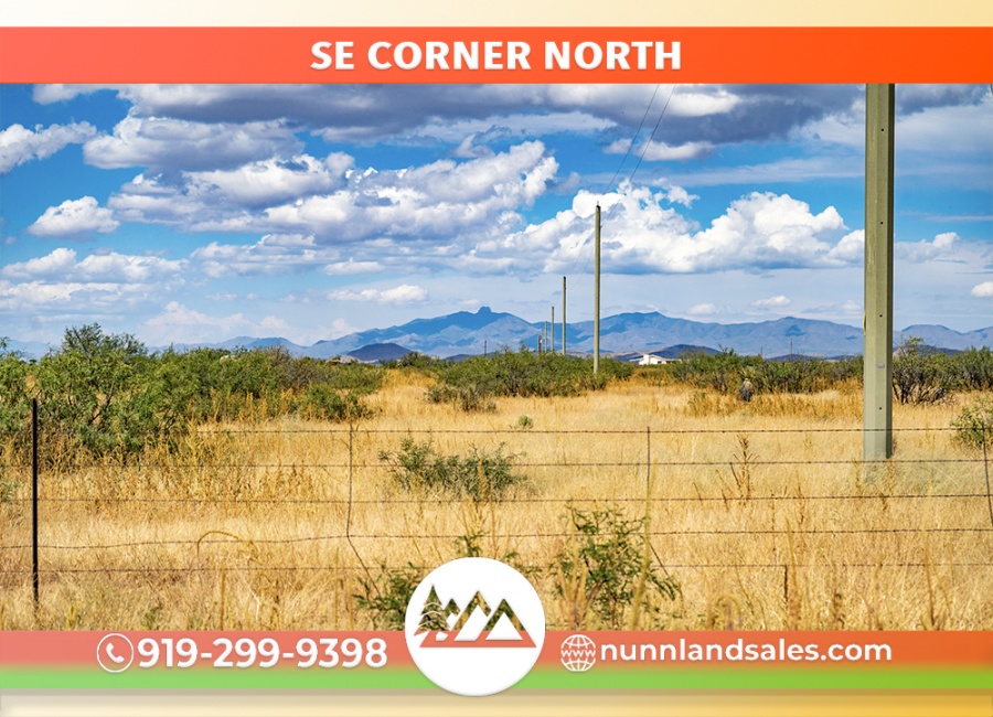 Cochise, Arizona 85606, ,Land,Sold,1353