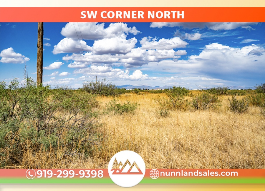 Cochise, Arizona 85606, ,Land,Sold,1353