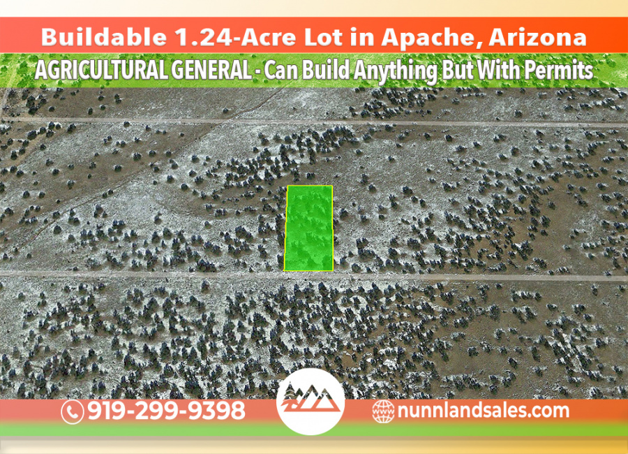 Chambers, Arizona 86502, ,Land,Sold,1358