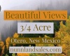 Cloudcroft, New Mexico 88317, ,Land,Sold,1036
