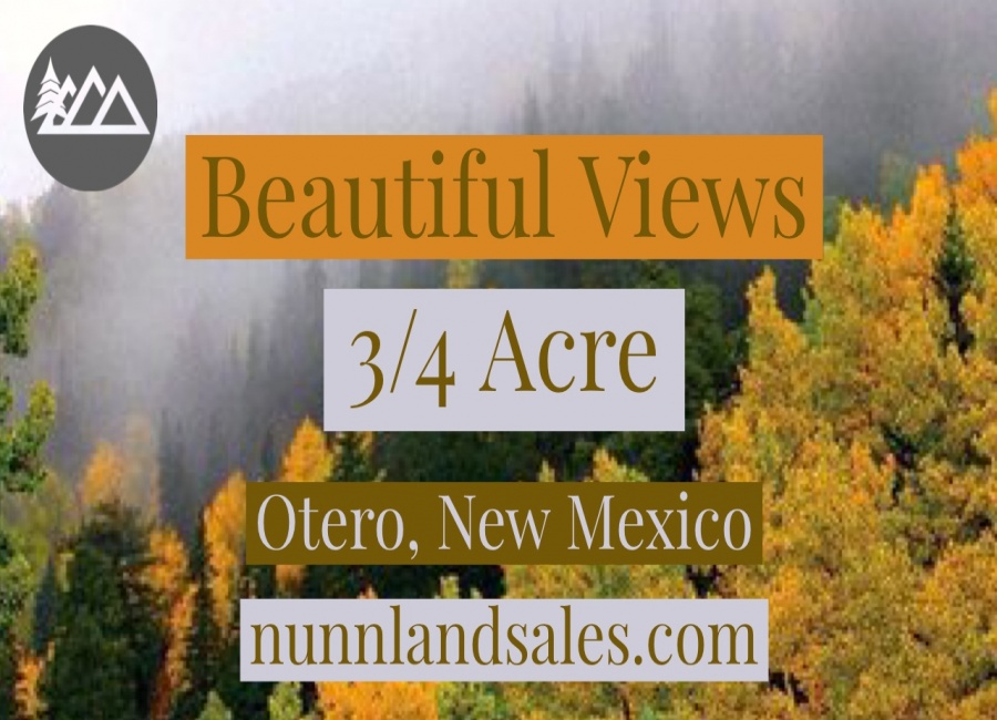 Cloudcroft, New Mexico 88317, ,Land,Sold,1036