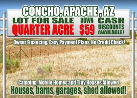Concho, Arizona 85924, ,Land,Sold,1372