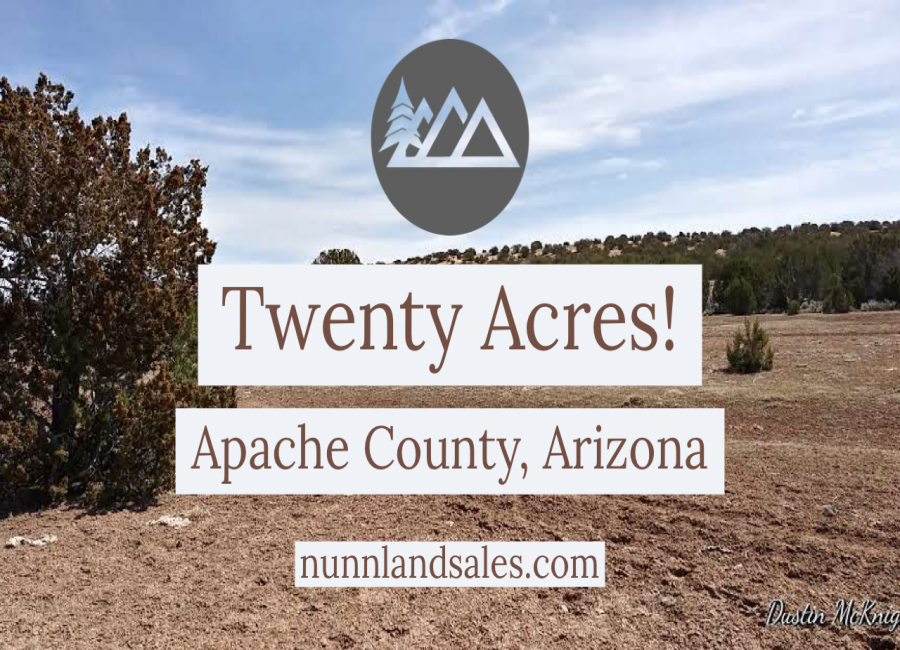 Concho, Arizona 86502, ,Land,Sold,1038