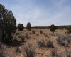 Concho, Arizona 86502, ,Land,Sold,1038