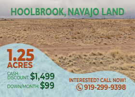 Holbrook, Arizona 86025, ,Land,Sold,1390
