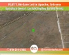 Holbrook, Arizona 86025, ,Land,Sold,1397