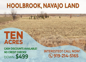 Holbrook, Arizona 86025, ,Land,For Sale,1411