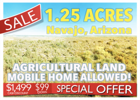 Holbrook, Arizona 86025, ,Land,For Sale,1413