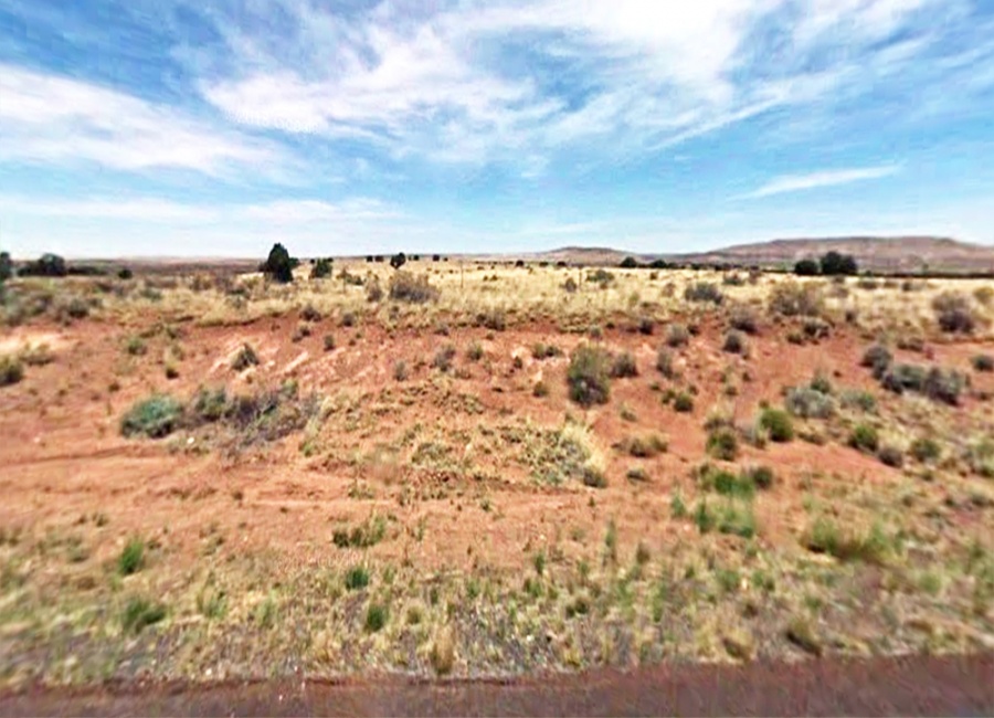 Concho, Arizona 85924, ,Land,Sold,1417