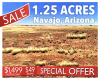 Holbrook, Arizona 86025, ,Land,Sold,1424