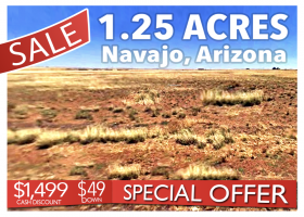 Holbrook, Arizona 86025, ,Land,For Sale,1424