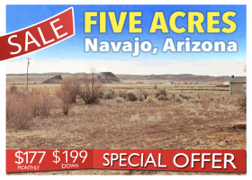 Navajo, Arizona 86025, ,Land,For Sale,1427