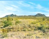 Hackberry, Arizona 86411, ,Land,Sold,1435