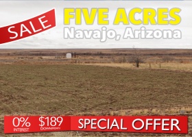 Holbrook, Arizona 86025, ,Land,Sold,1451