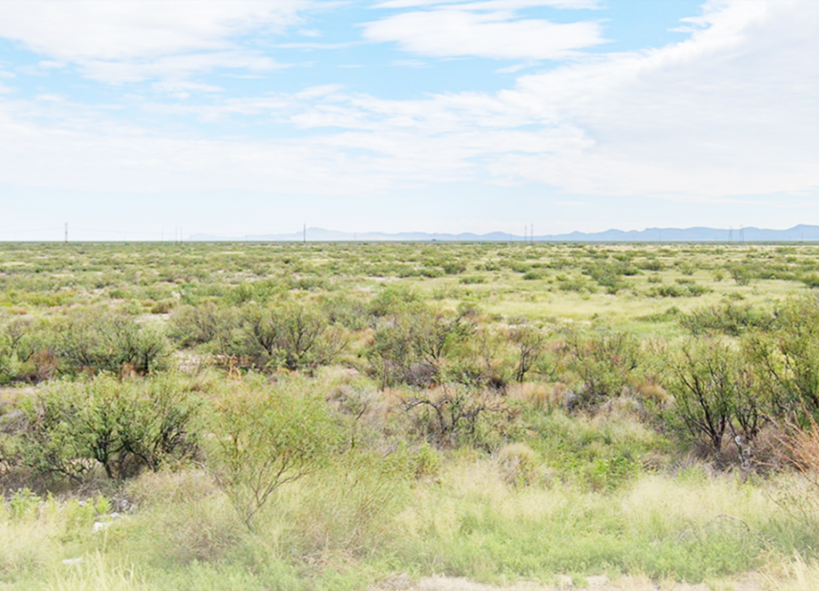 Deming, New Mexico 88030, ,Land,Sold,1460
