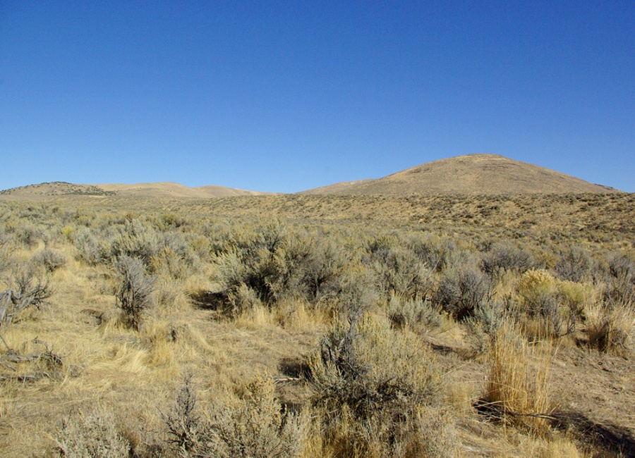 Elko, Nevada 89801, ,Land,Sold,1466