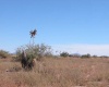 Cochise, Arizona 85606, ,Land,Sold,1047