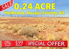 Holbrook, Arizona 86025, ,Land,Sold,1476